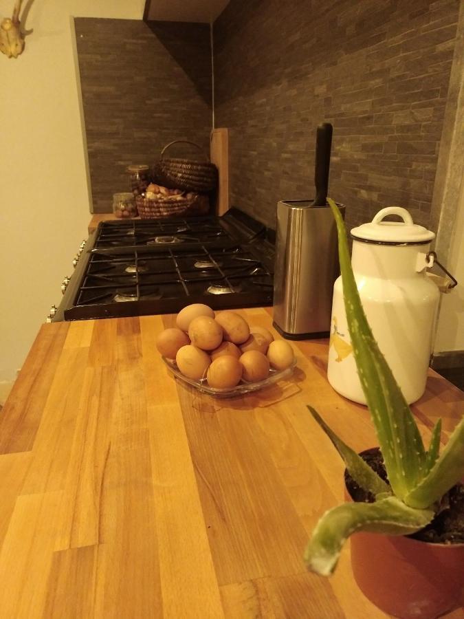 Le Bonheur En Bretagne Hotell Rouillac  Exteriör bild